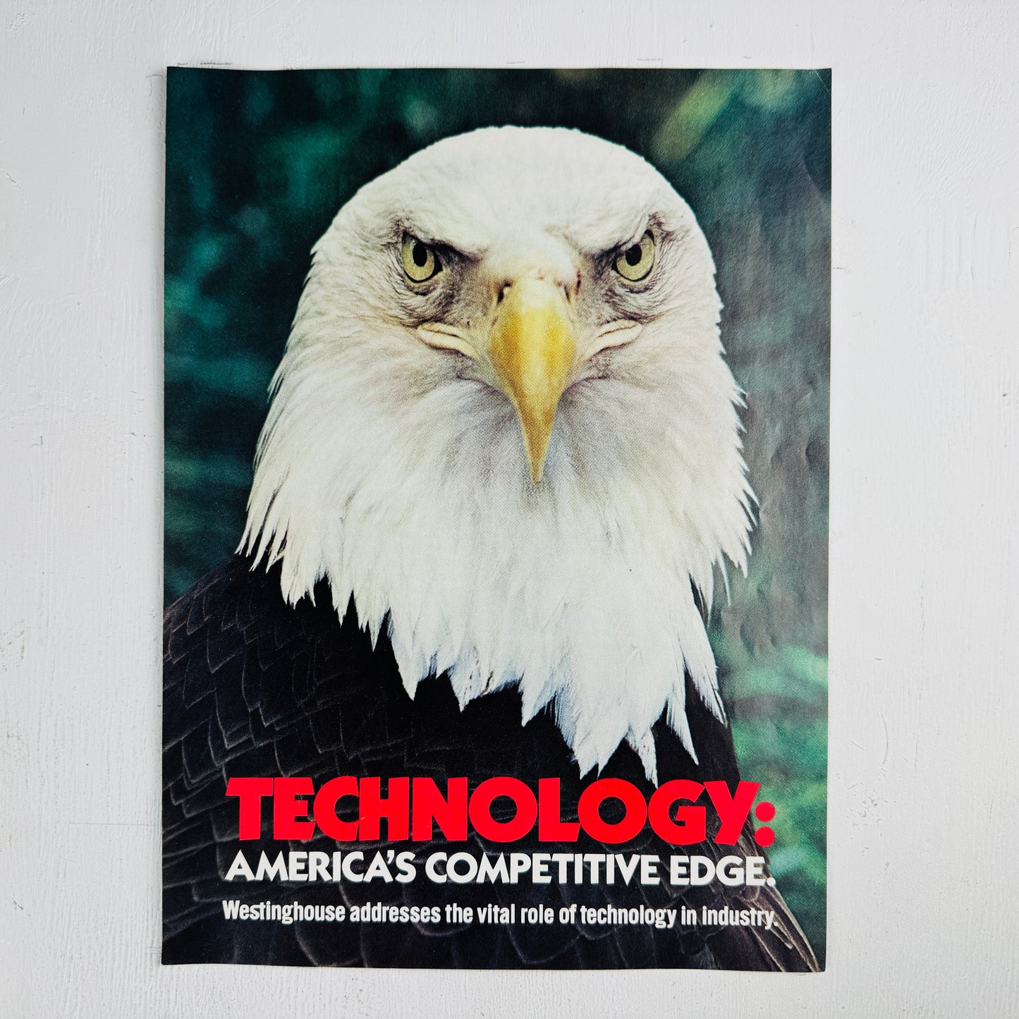 Westinghouse Eagle: Technology