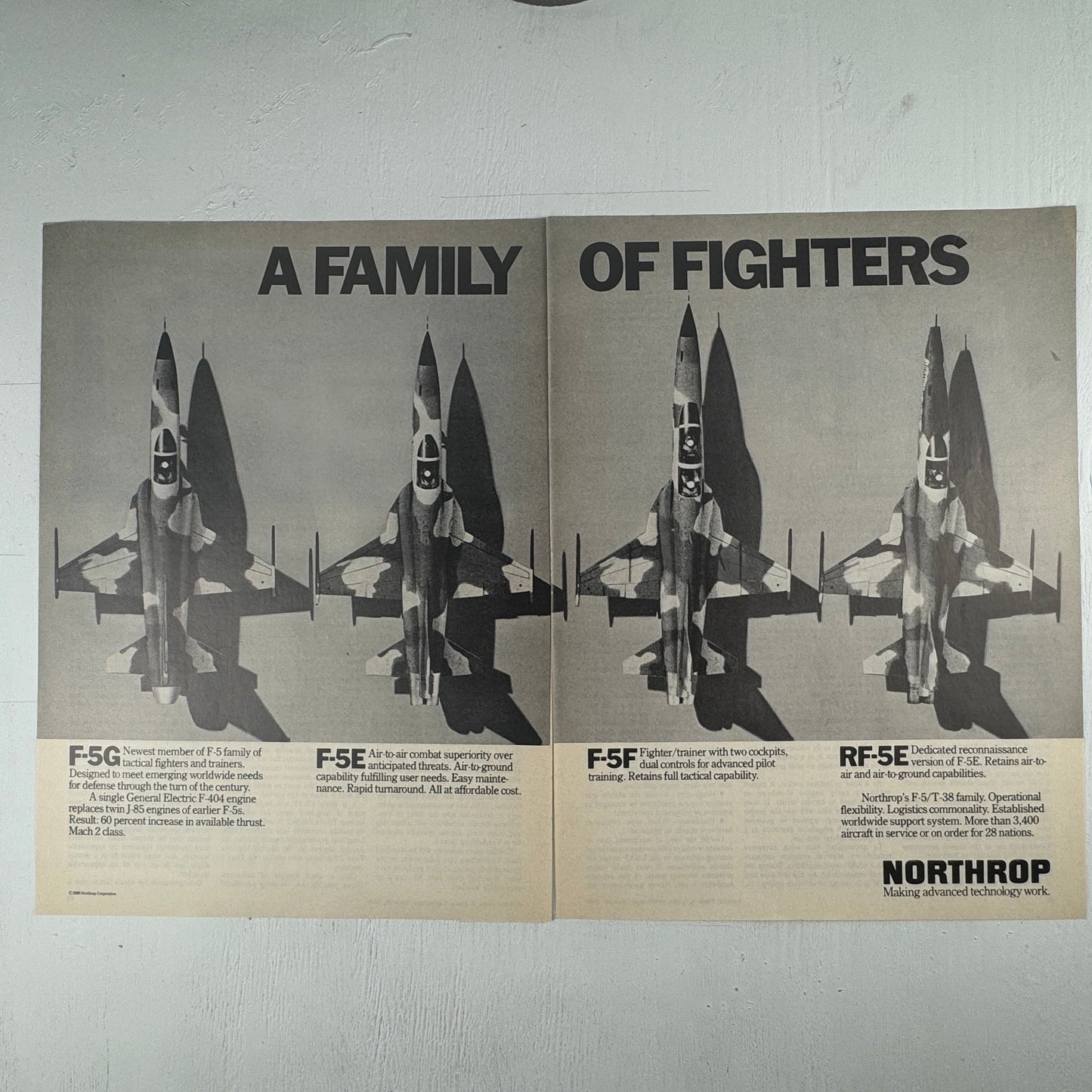 Northrop F-5 Family of Fighters
